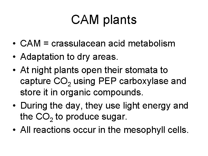 CAM plants • CAM = crassulacean acid metabolism • Adaptation to dry areas. •