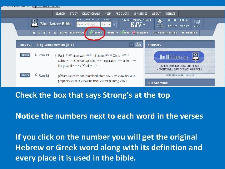 Check the box that says Strong’s at the top Notice the numbers next to