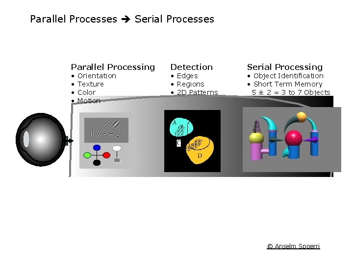 Parallel Processes Serial Processes Parallel Processing • • Orientation Texture Color Motion Detection •