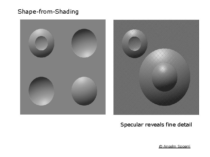 Shape-from-Shading Specular reveals fine detail © Anselm Spoerri 
