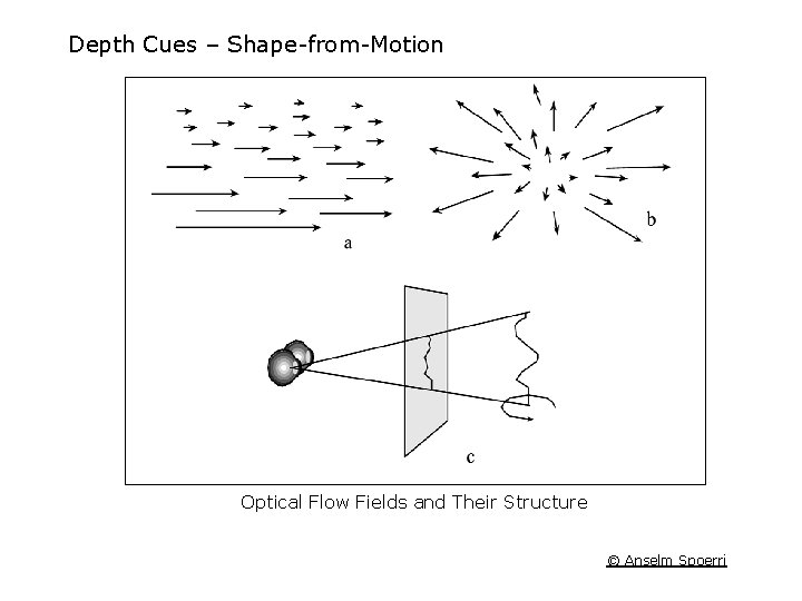 Depth Cues – Shape-from-Motion Optical Flow Fields and Their Structure © Anselm Spoerri 