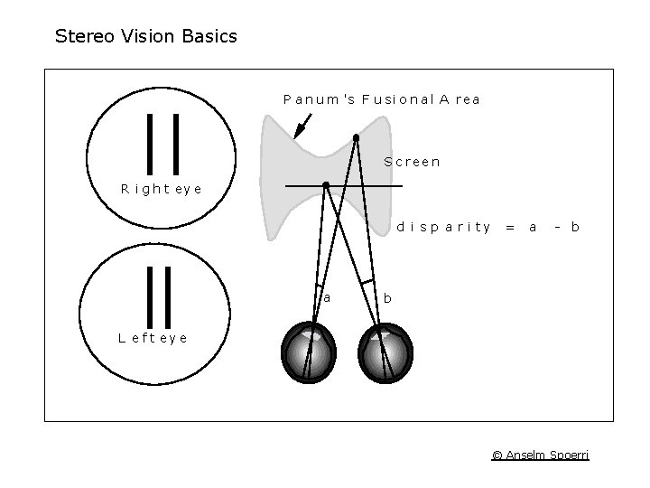 Stereo Vision Basics P a n u m 's F u s i o