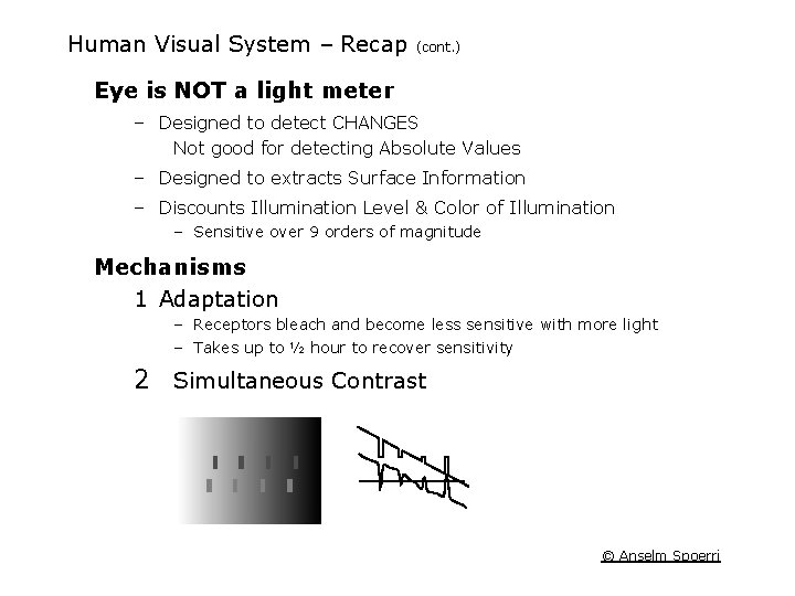 Human Visual System – Recap (cont. ) Eye is NOT a light meter –