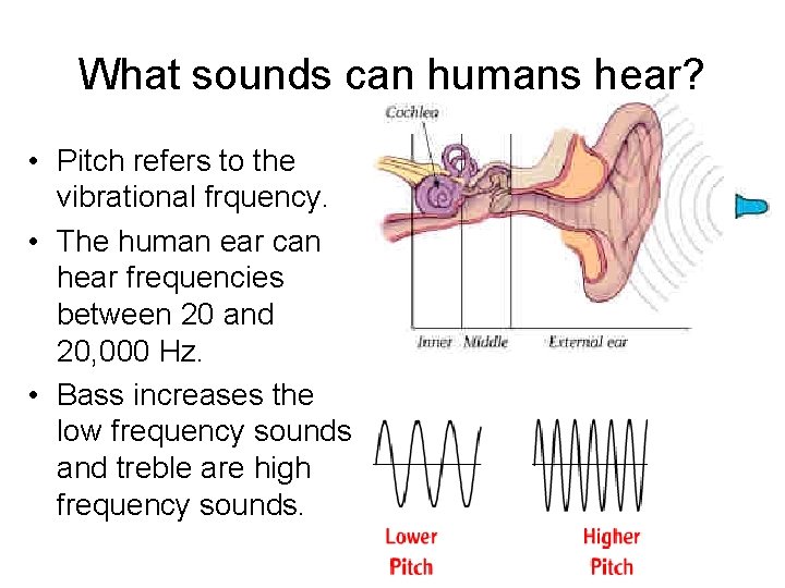 What sounds can humans hear? • Pitch refers to the vibrational frquency. • The