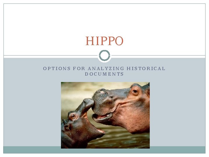 HIPPO OPTIONS FOR ANALYZING HISTORICAL DOCUMENTS 