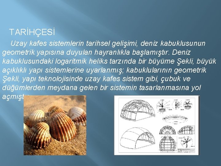 TARİHÇESİ Uzay kafes sistemlerin tarihsel gelişimi, deniz kabuklusunun geometrik yapısına duyulan hayranlıkla başlamıştır. Deniz TARİHÇESİ Uzay kafes sistemlerin tarihsel gelişimi, deniz kabuklusunun geometrik yapısına duyulan hayranlıkla başlamıştır. Deniz