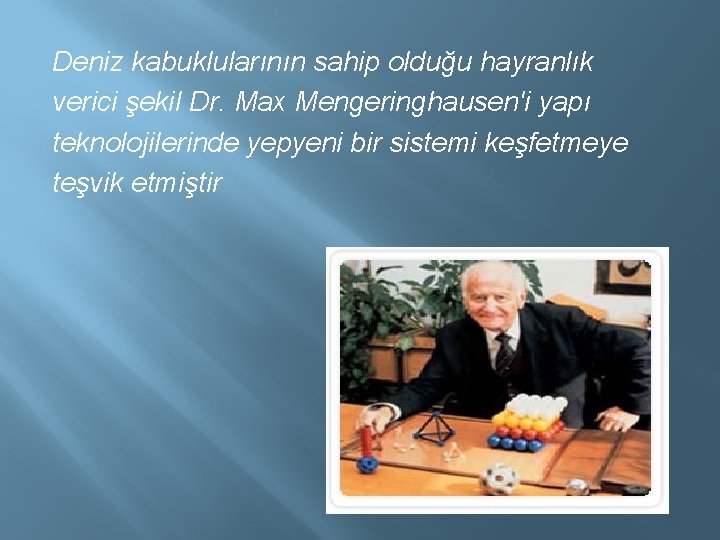 Deniz kabuklularının sahip olduğu hayranlık verici şekil Dr. Max Mengeringhausen'i yapı teknolojilerinde yepyeni bir