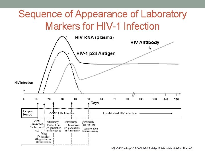 Sequence of Appearance of Laboratory Markers for HIV-1 Infection http: //www. cdc. gov/hiv/pdf/hivtestingalgorithmrecommendation-final. pdf
