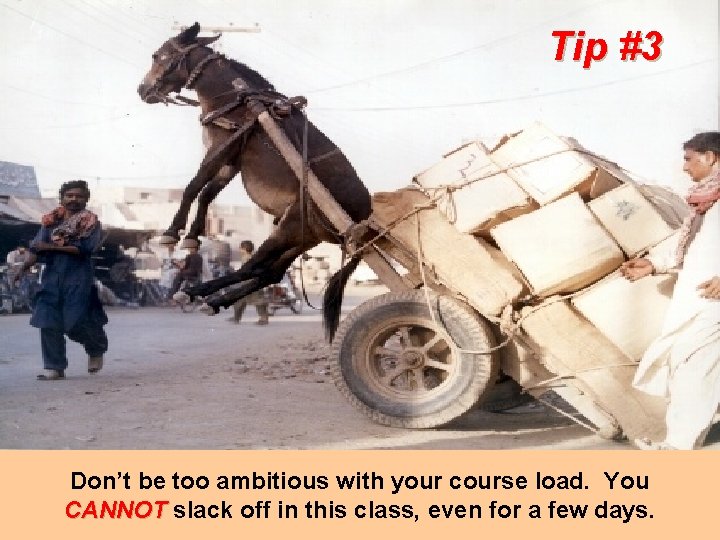 Tip #3 Don’t be too ambitious with your course load. You CANNOT slack off