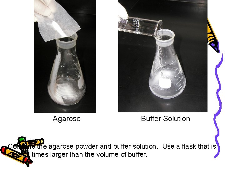Agarose Buffer Solution Combine the agarose powder and buffer solution. Use a flask that