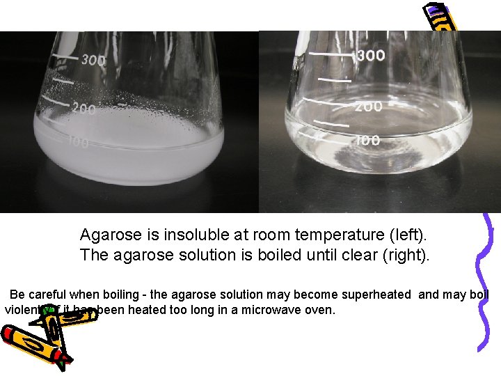 Melting the Agarose is insoluble at room temperature (left). The agarose solution is boiled