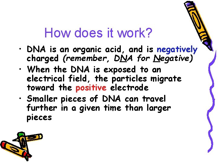 How does it work? • DNA is an organic acid, and is negatively charged