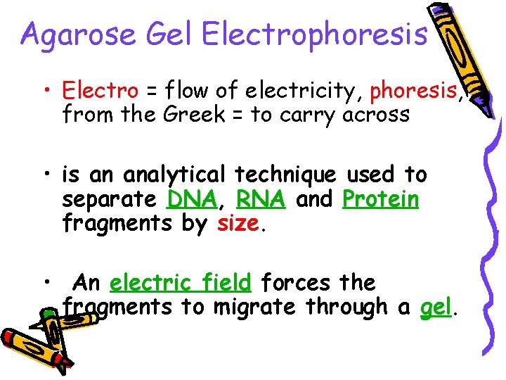 Agarose Gel Electrophoresis • Electro = flow of electricity, phoresis, from the Greek =