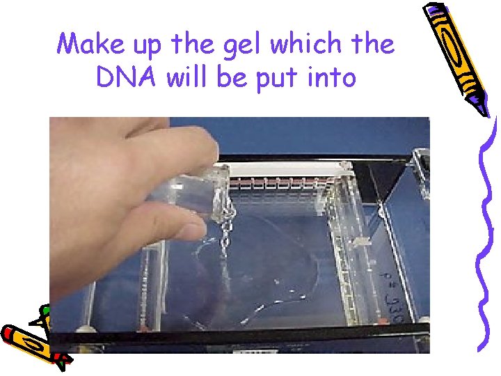 Make up the gel which the DNA will be put into 