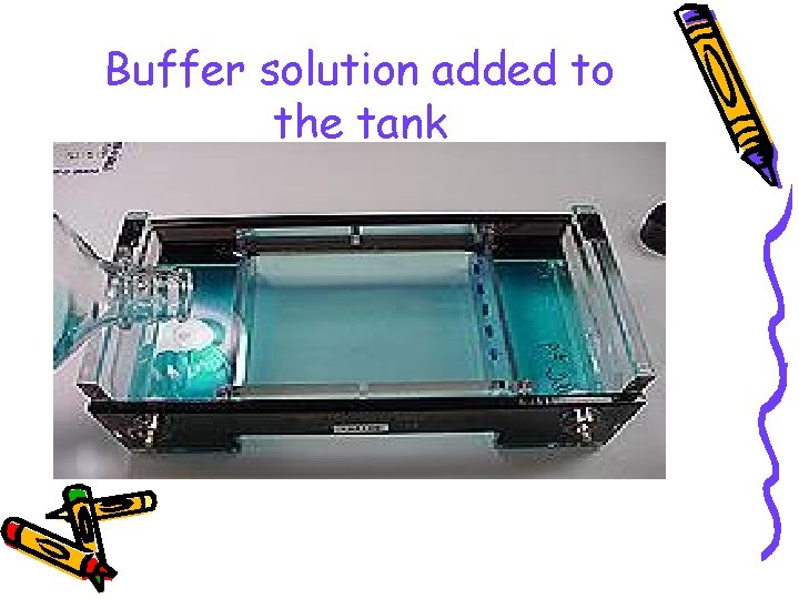 Buffer solution added to the tank 