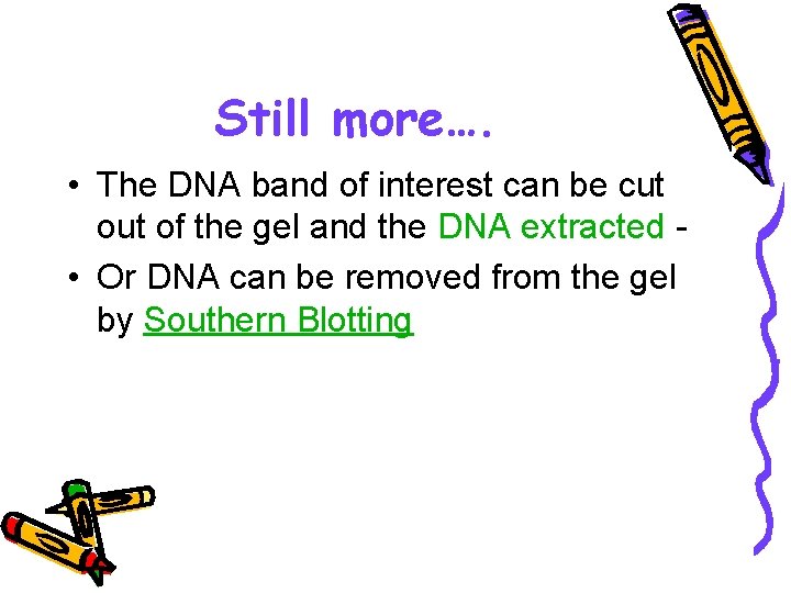 Still more…. • The DNA band of interest can be cut of the gel