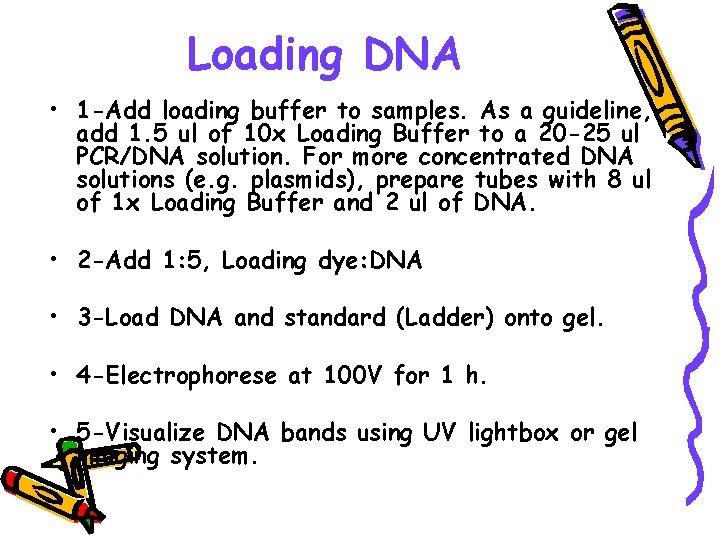 Loading DNA • 1 -Add loading buffer to samples. As a guideline, add 1.
