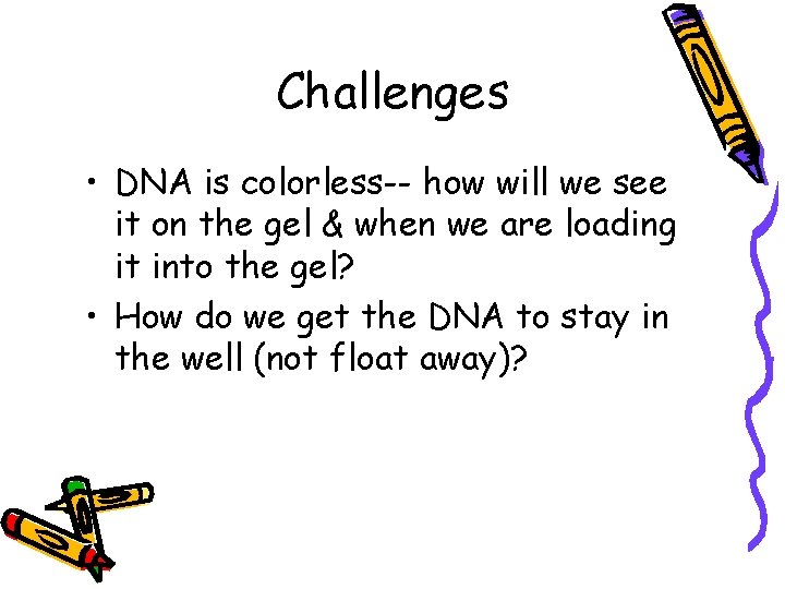 Challenges • DNA is colorless-- how will we see it on the gel &