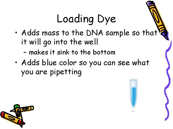 Loading Dye • Adds mass to the DNA sample so that it will go
