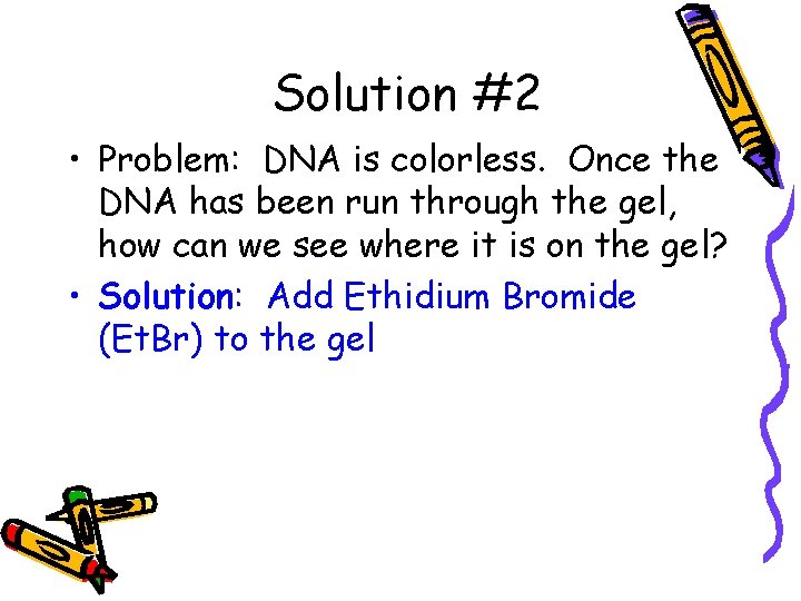 Solution #2 • Problem: DNA is colorless. Once the DNA has been run through