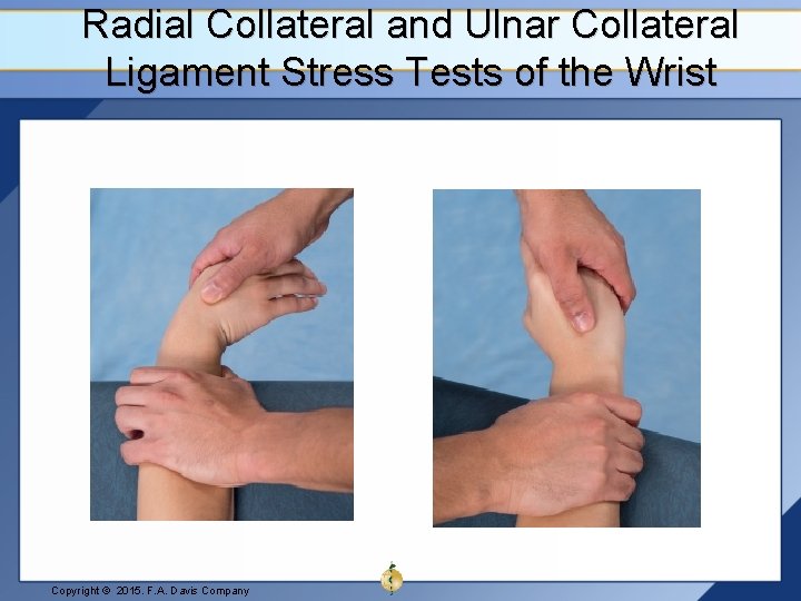 Radial Collateral and Ulnar Collateral Ligament Stress Tests of the Wrist Copyright © 2015.