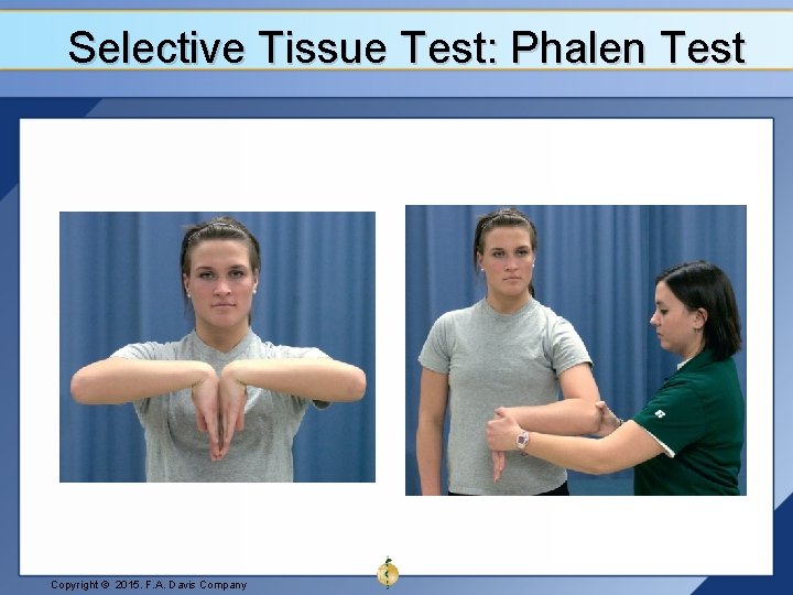 Selective Tissue Test: Phalen Test Copyright © 2015. F. A. Davis Company 
