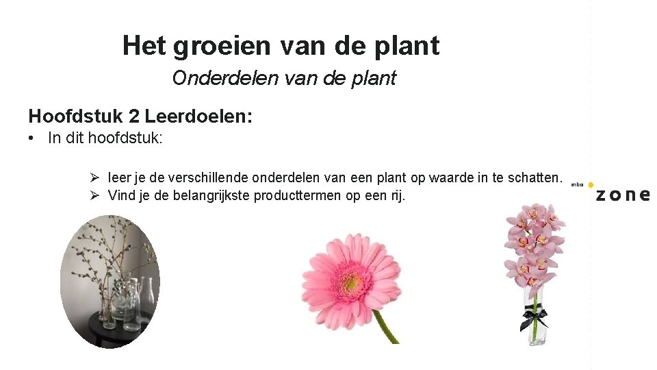 Het groeien van de plant Onderdelen van de plant Hoofdstuk 2 Leerdoelen: • In