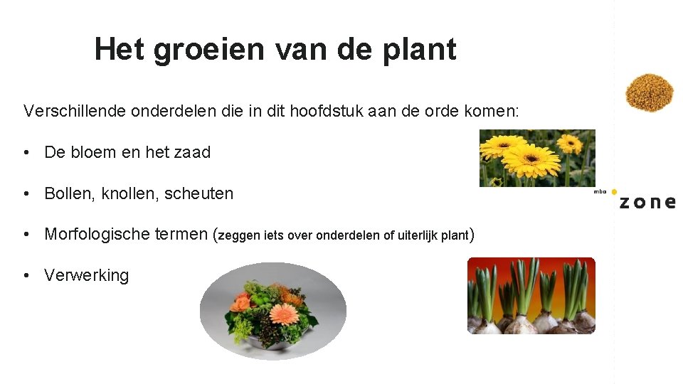 Het groeien van de plant Verschillende onderdelen die in dit hoofdstuk aan de orde