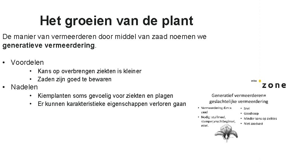 Het groeien van de plant De manier van vermeerderen door middel van zaad noemen Het groeien van de plant De manier van vermeerderen door middel van zaad noemen