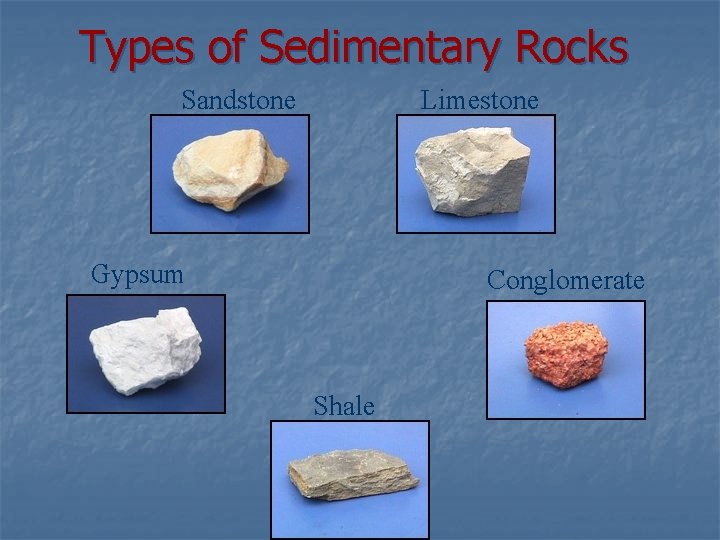 Types of Sedimentary Rocks Sandstone Limestone Gypsum Conglomerate Shale 