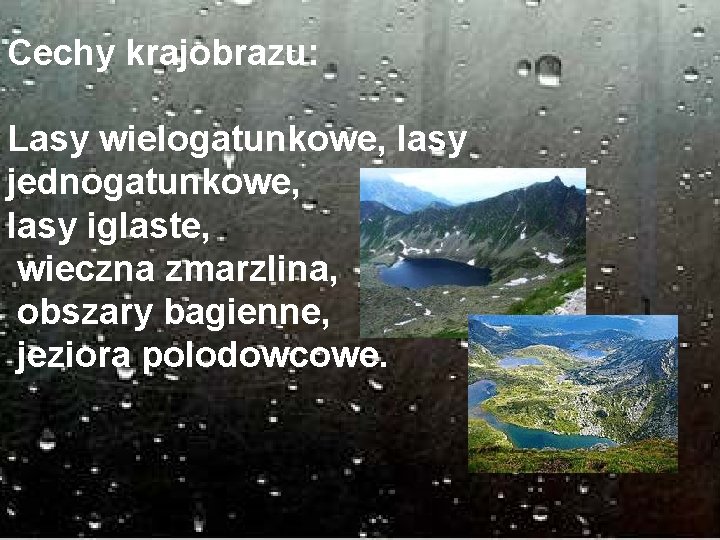 Cechy krajobrazu: Lasy wielogatunkowe, lasy jednogatunkowe, lasy iglaste, wieczna zmarzlina, obszary bagienne, jeziora polodowcowe.