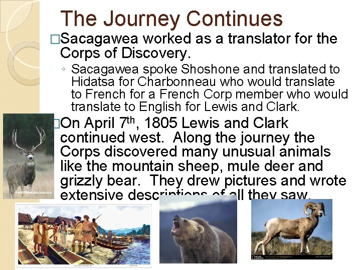 The Journey Continues �Sacagawea worked as a translator for the Corps of Discovery. ◦