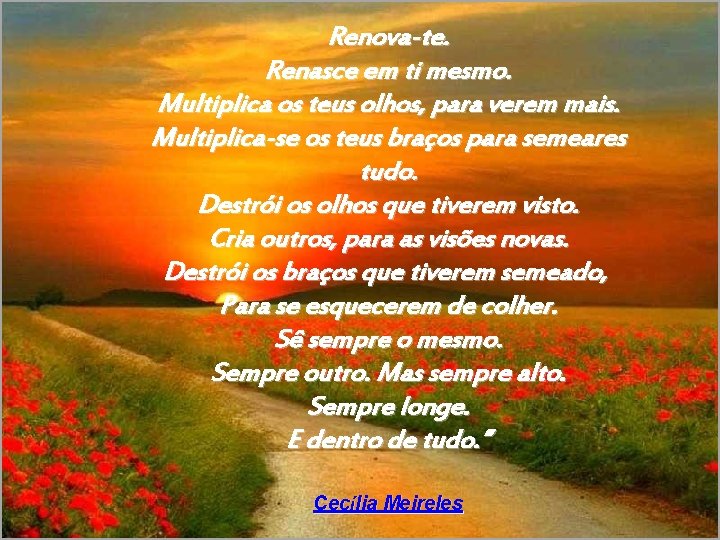 Renova-te. Renasce em ti mesmo. Multiplica os teus olhos, para verem mais. Multiplica-se os