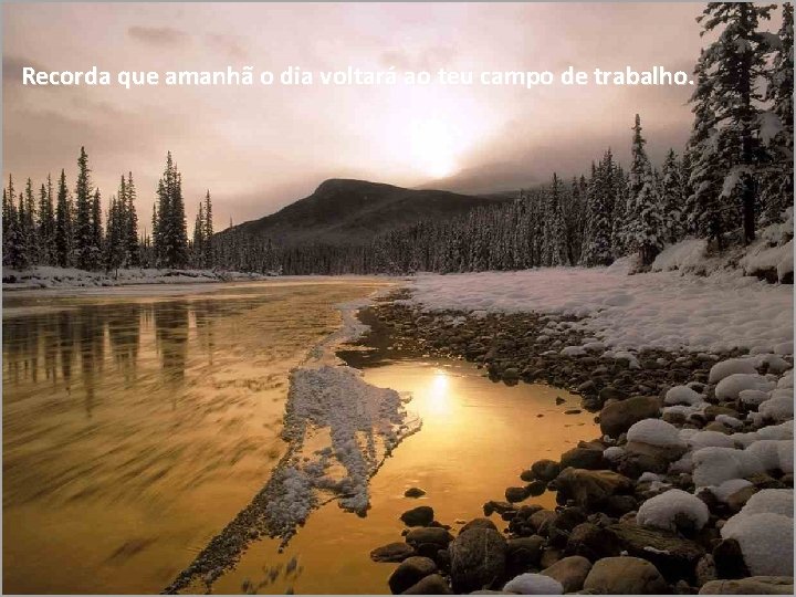 Recorda que amanhã o dia voltará ao teu campo de trabalho. 