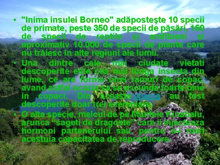 ZIUA INTERNATIONALA A BIODIVERSITATII 22 MAI 2014 TEMA