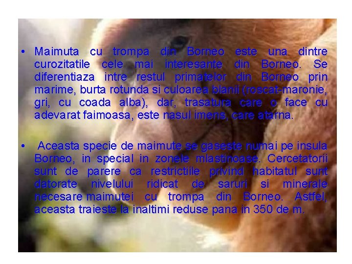 ZIUA INTERNATIONALA A BIODIVERSITATII 22 MAI 2014 TEMA