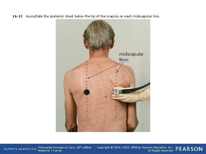 16 -1 C Auscultate the posterior chest below the tip of the scapula on