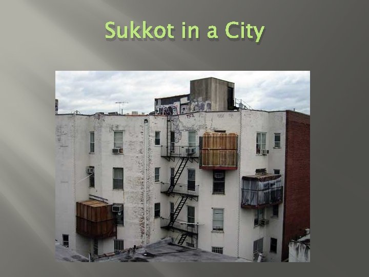 Sukkot in a City 