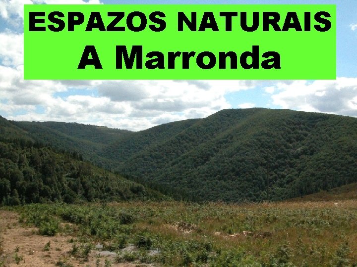 ESPAZOS NATURAIS A Marronda 