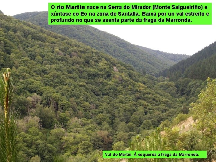 O río Martín nace na Serra do Mirador (Monte Salgueiriño) e xúntase co Eo