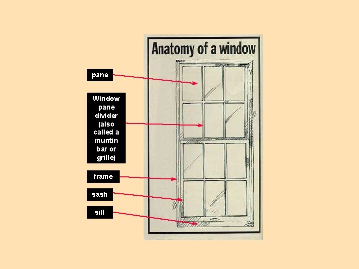 pane Window pane divider (also called a muntin bar or grille) frame sash sill