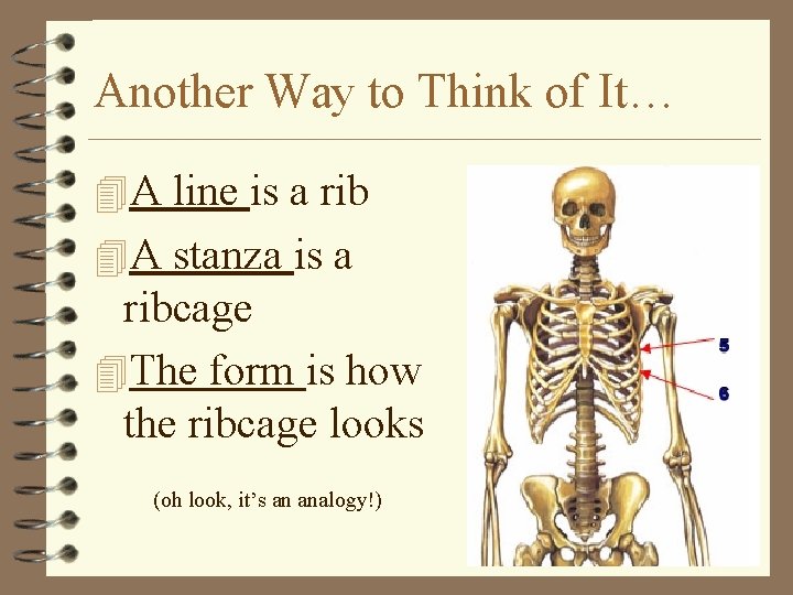 Another Way to Think of It… 4 A line is a rib 4 A