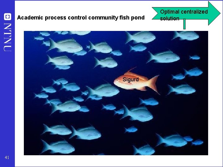 Academic process control community fish pond Optimal centralized solution Sigurd 41 