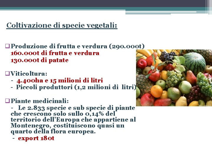  Coltivazione di specie vegetali: q Produzione di frutta e verdura (290. 000 t)