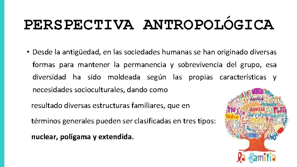 PERSPECTIVA ANTROPOLÓGICA • Desde la antigüedad, en las sociedades humanas se han originado diversas