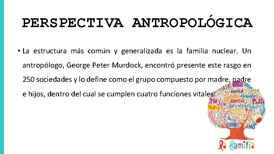 PERSPECTIVA ANTROPOLÓGICA • La estructura más común y generalizada es la familia nuclear. Un