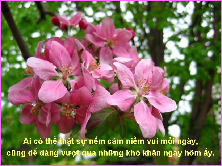 Ai có thể thật sự nếm cảm niềm vui mỗi ngày, cũng dễ dàng