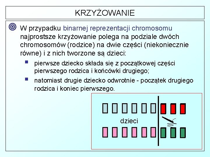 KRZYŻOWANIE ¥ W przypadku binarnej reprezentacji chromosomu najprostsze krzyżowanie polega na podziale dwóch chromosomów