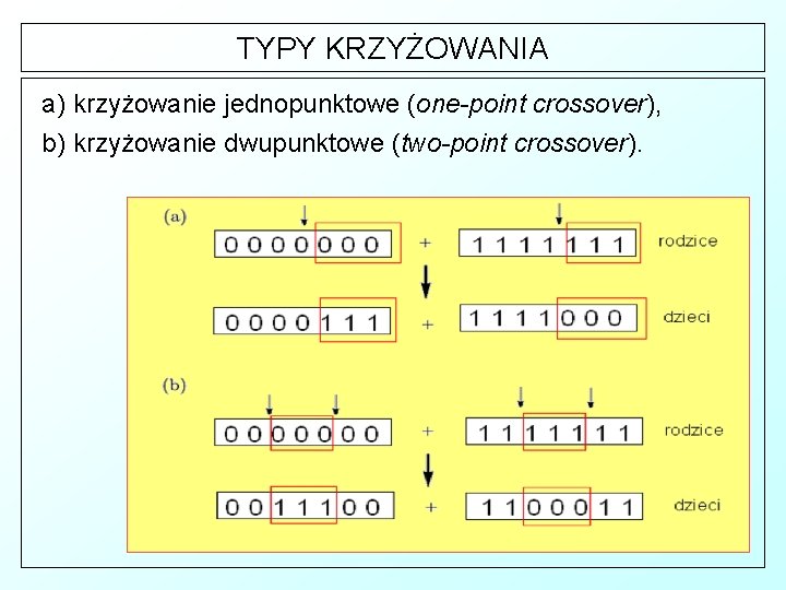 TYPY KRZYŻOWANIA a) krzyżowanie jednopunktowe (one-point crossover), b) krzyżowanie dwupunktowe (two-point crossover). 