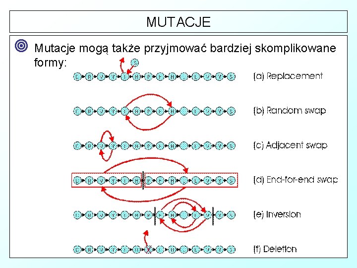 MUTACJE ¥ Mutacje mogą także przyjmować bardziej skomplikowane formy: 